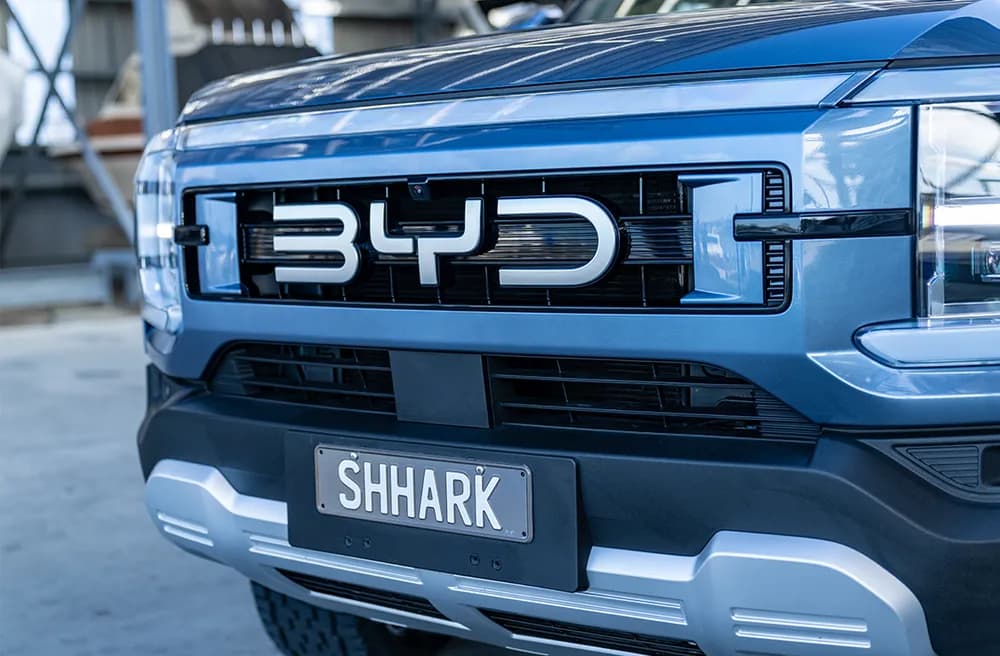 Shark 6