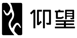 Yangwang yangwang logo