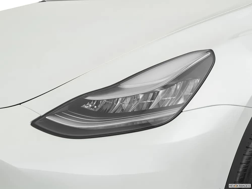 Long Range (AWD)