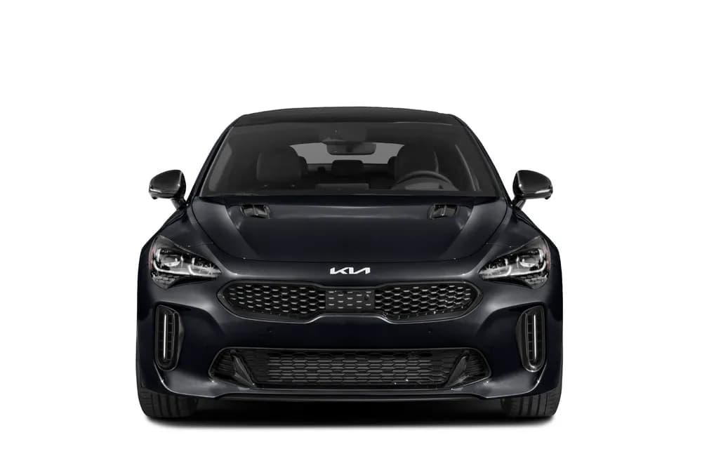 Stinger
