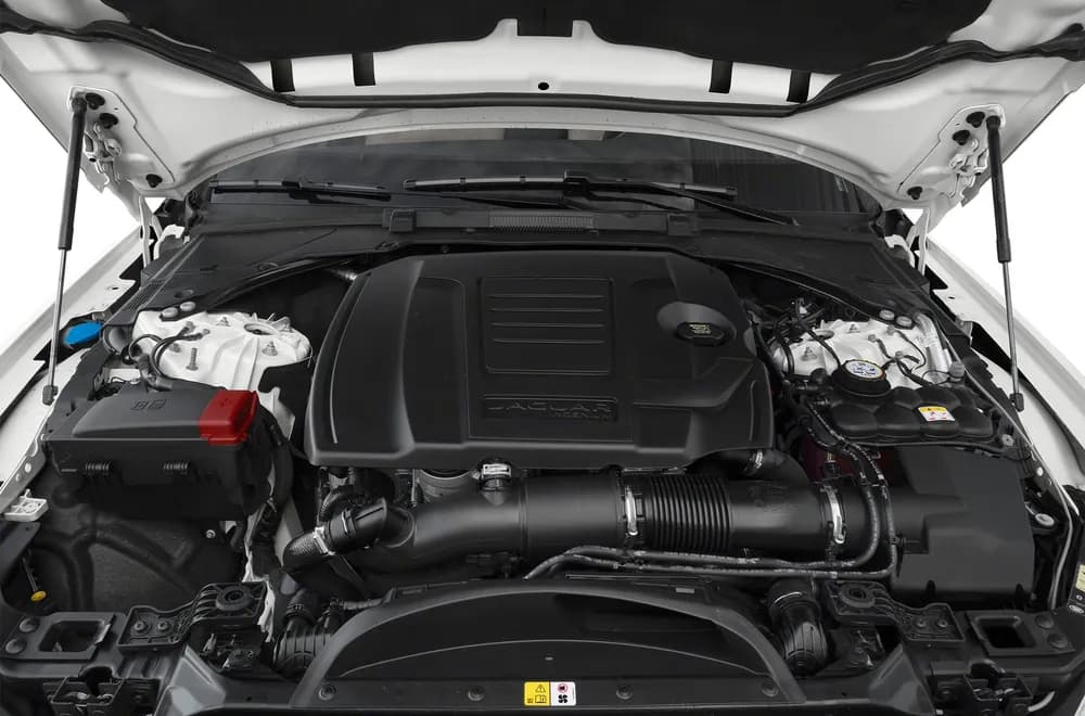 XF
