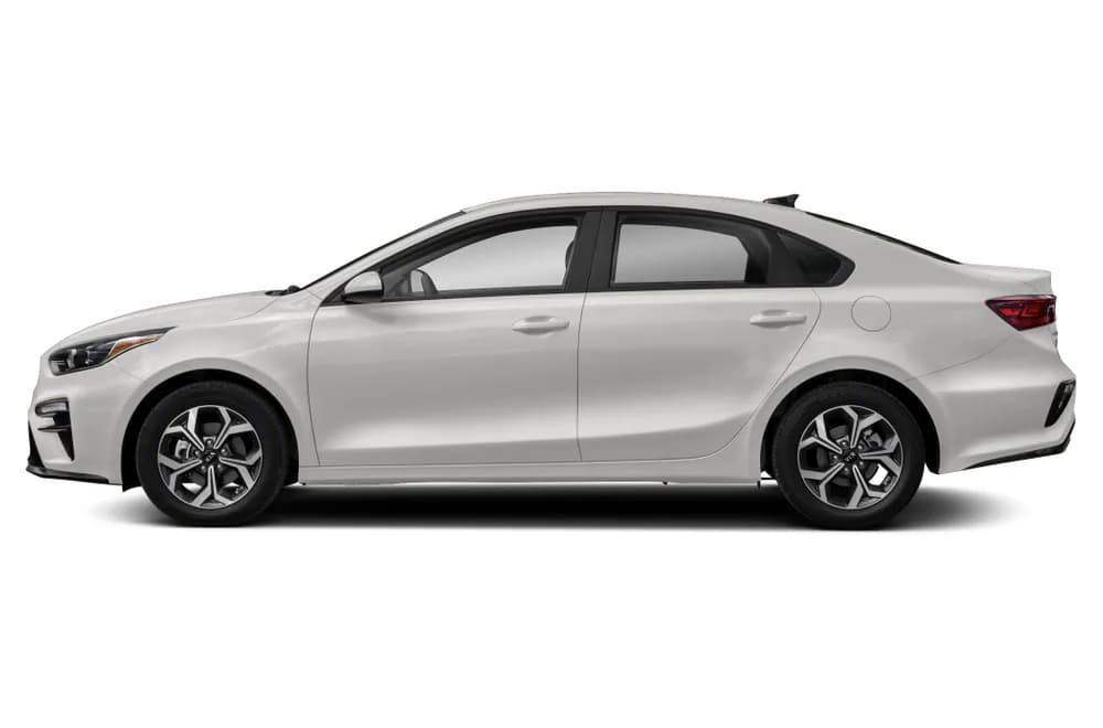 Cerato