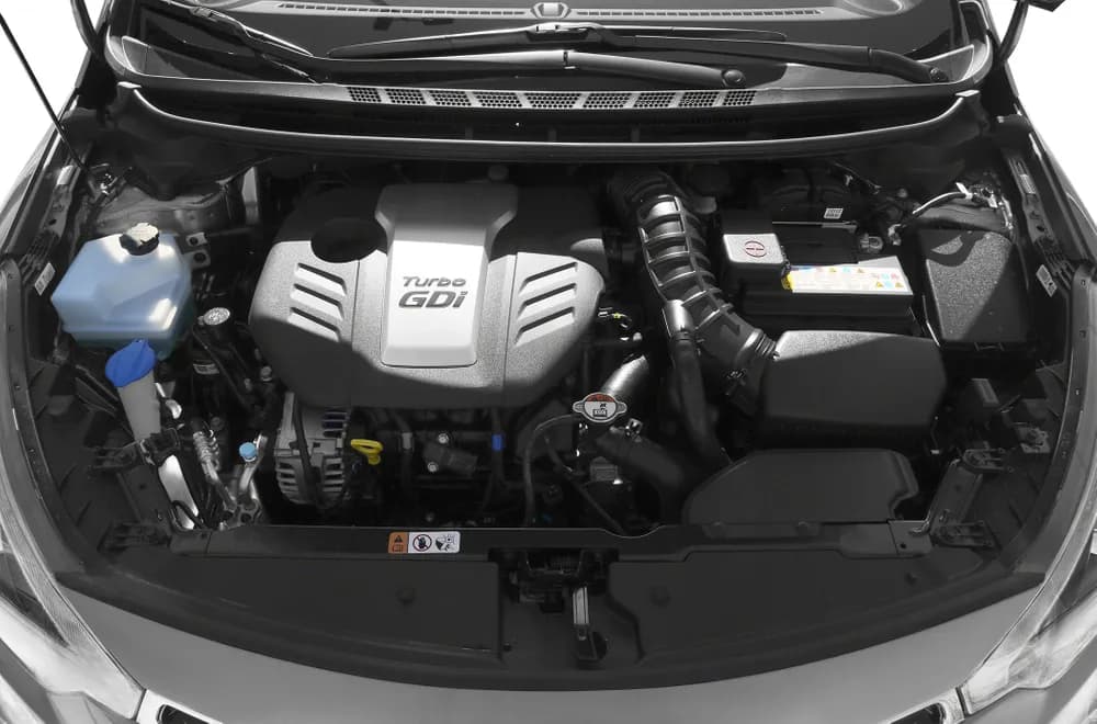 Cerato