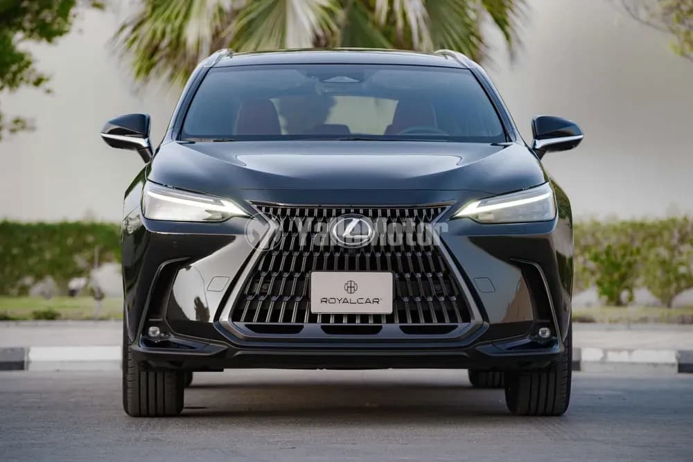 New Lexus NX 350 Excellence AWD 2024