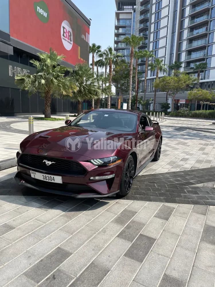 Used Ford Mustang 2.3L EcoBoost Fastback Premium 2018