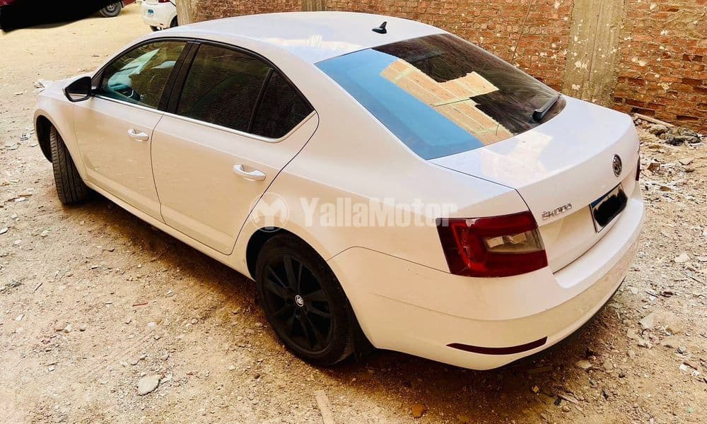 Used Skoda Octavia Ambition 1.6 2020