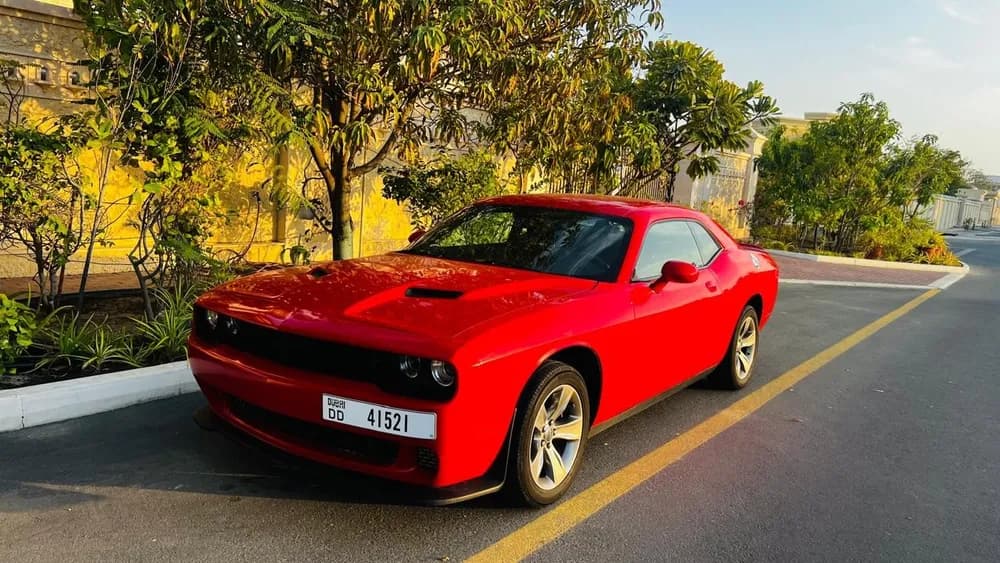 Used Dodge Challenger 3.6L 2021