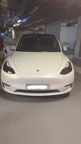 Used Tesla Model Y Performance (AWD) 2022 Used Tesla Model Y Performance (AWD) 2022 used_cars.forSale