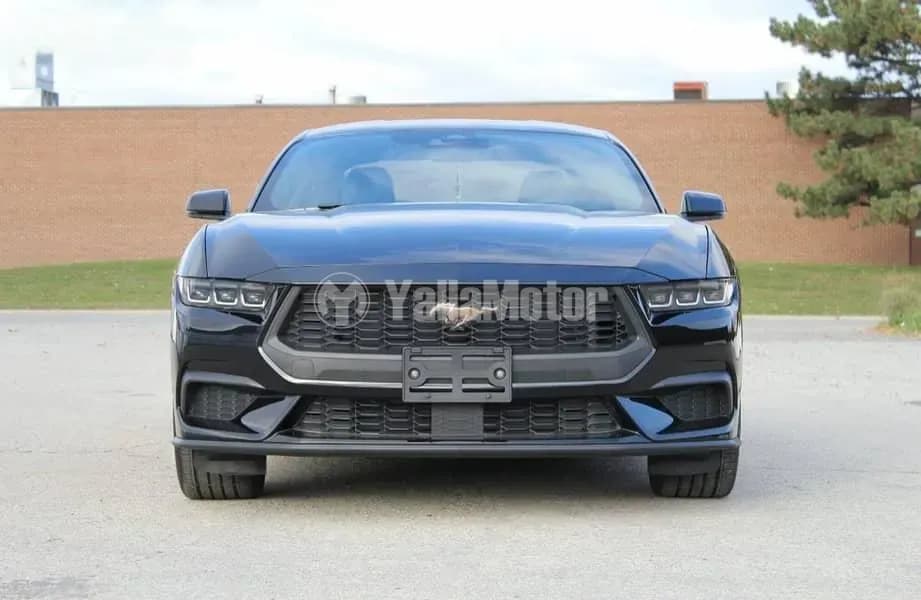Used Ford Mustang 2024