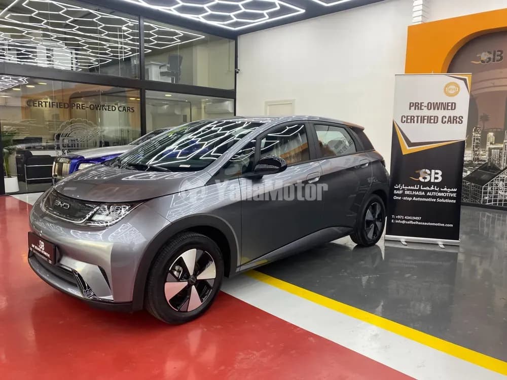 New BYD dolphin 2023