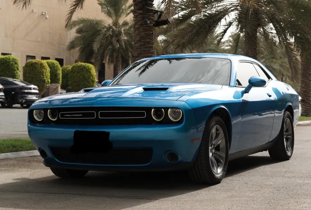 Used Dodge Challenger 3.6L SXT 2019