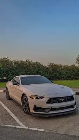 Used Ford Mustang 2.3L EcoBoost Coupe 2021 Used Ford Mustang 2.3L EcoBoost Coupe 2021 used_cars.forSale