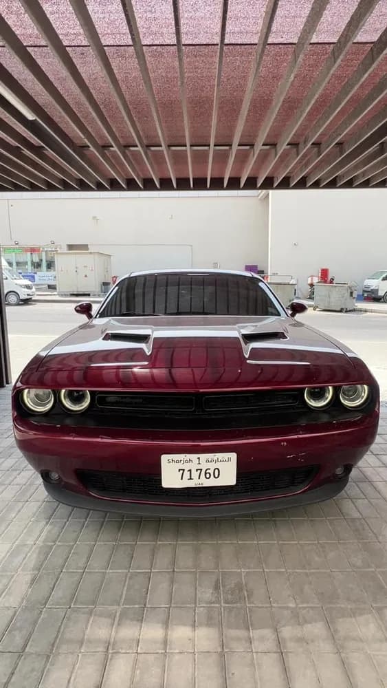 Used Dodge Challenger 3.6L SXT 2019