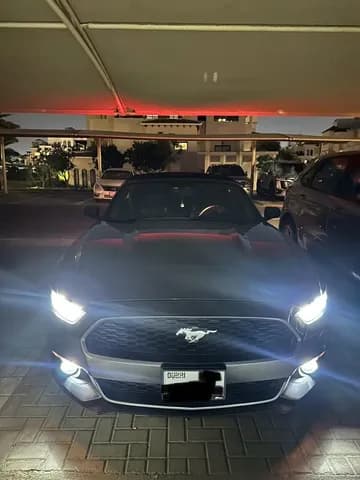 Used Ford Mustang 2.3L EcoBoost Convertible 2017 Used Ford Mustang 2.3L EcoBoost Convertible 2017 used_cars.forSale