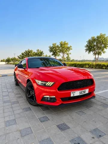 فورد موستانج V6 2017 مستعملة فورد موستانج V6 2017 مستعملة للبيع