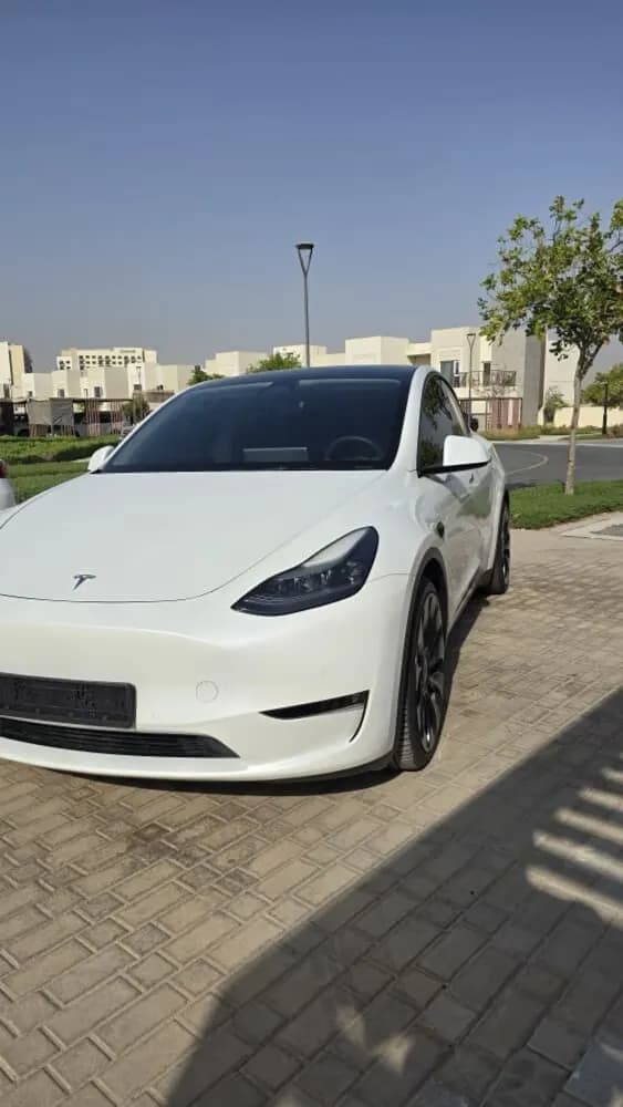 Used Tesla Model Y Performance (AWD) 2022