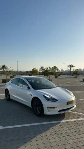 Used Tesla Model 3 Standard Range Plus 2019 Used Tesla Model 3 Standard Range Plus 2019 used_cars.forSale