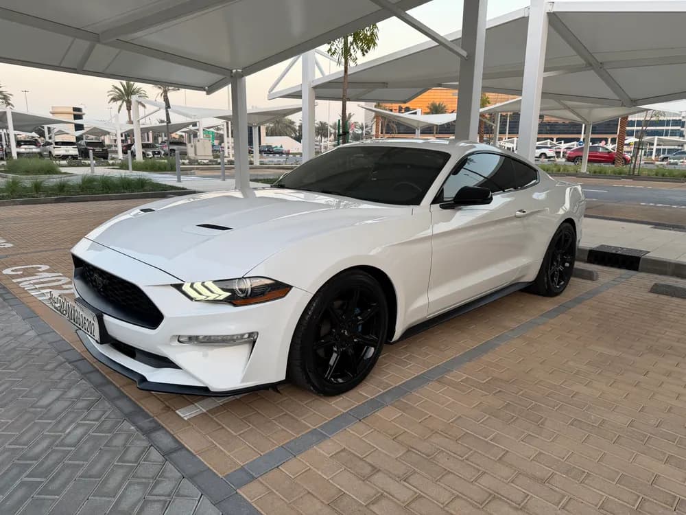 Used Ford Mustang 2.3L EcoBoost Fastback Premium 2020