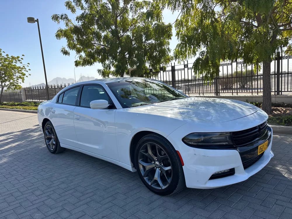 Used Dodge Charger 3.6L SXT Plus 2017